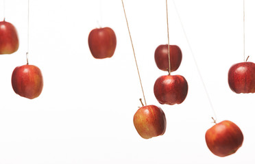 Äpfel hängend, in Bewegung, Studio