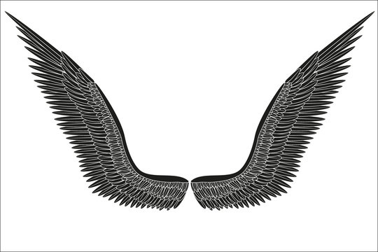 Sketch open black angel wings. Vector.