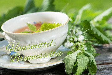 Hausmittel Brennesseltee