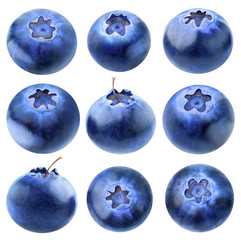 Obraz premium Collection of blueberries