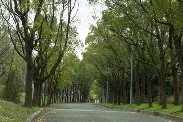 Gravel road of Turumi park in Osaka,Japan 