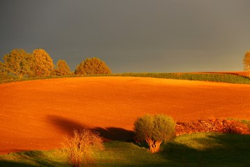 abendsonne auf acker I