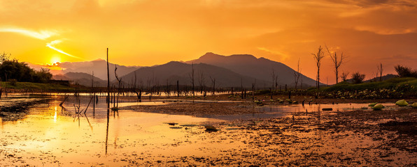 Landscape of dry tree with lake and mountain in sunset