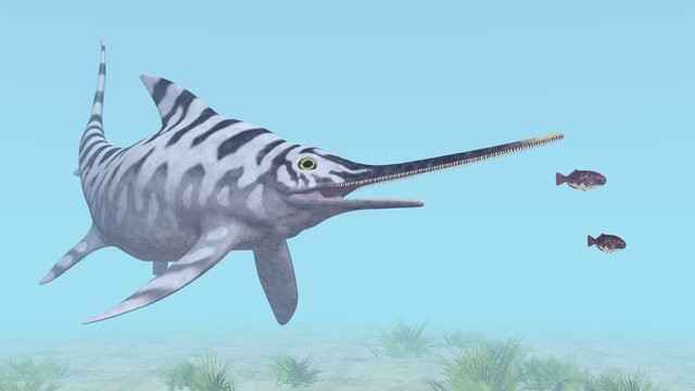Ichthyosaur Eurhinosaurus