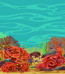 Fototapeta na wymiar Coral reef and fish. Underwater seascape.