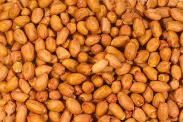 Obraz premium fresh peanut