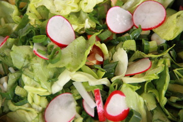 bunter Salat