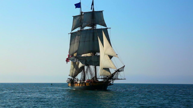 Sea gull flies in front of old, historic tall ship.