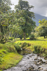 Obraz premium River at La Fortuna Waterfall in Arenal National Park 