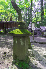 Fototapeta premium Japanese stone street lamp, moss covering on top at Nikko, Japan