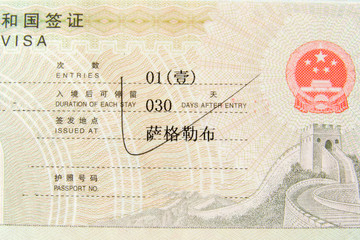 Detail of passport page with international entry visa