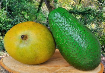 Mango e Avogado