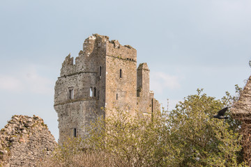 Fototapeta na wymiar Desmond Castle Askeaton Ireland