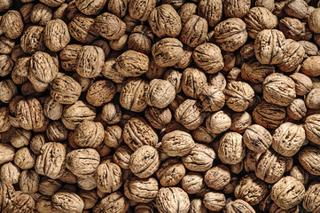 Pile of walnuts. Agriculture background