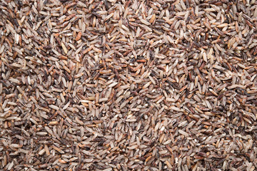 brown rice background