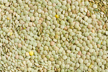 lentil seeds