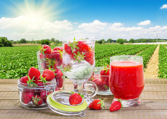 Strawberry smoothie with fresh berries in the strawberry field b
