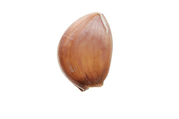 Garlic on a white background.