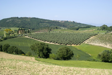View over rural Tuscany, Italy