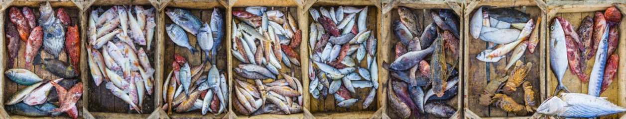 Printed kitchen splashbacks Fish Fresh fish at a market in a Mediterranean port, collage