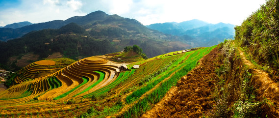 Rice fields on terraced of Mu Cang Chai, YenBai, Vietnam