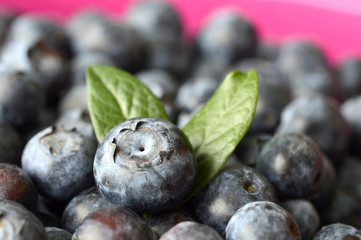 Blueberries berry.