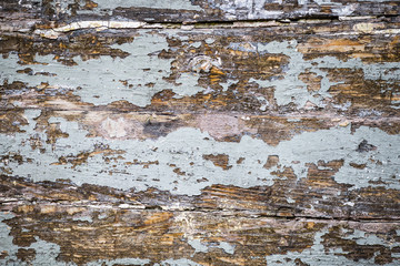 Old wood plank.