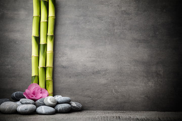 Spa stones.