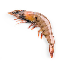 Delicious fresh shrimp 