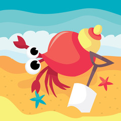 Hermit Crab By The Beach