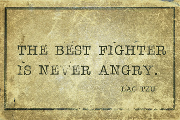 best fighter LT