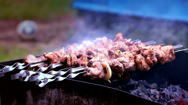 Приготовление шашлыка на углях. Летний пикник на природе