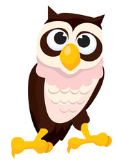 Cartoon Owl