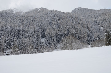 inverno panorama invernale neve nevicata 