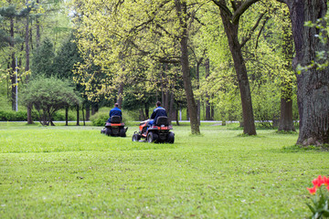 Two men in the park mowed grass mowers.