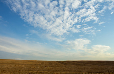 Fototapeta na wymiar newly plowed field on a background cloudy sky