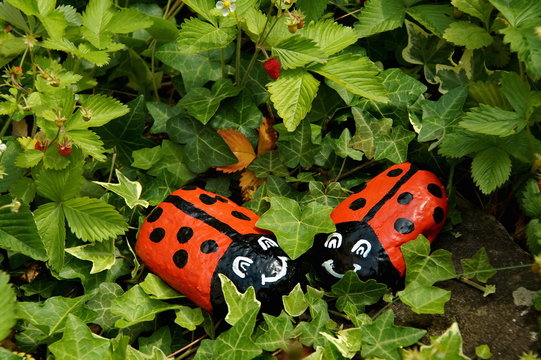 Steink&auml;fer