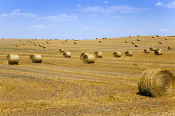 Fototapeta premium straw stack 