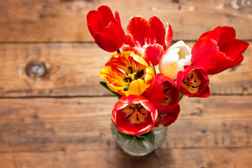 Beautiful different tulips  in vase
