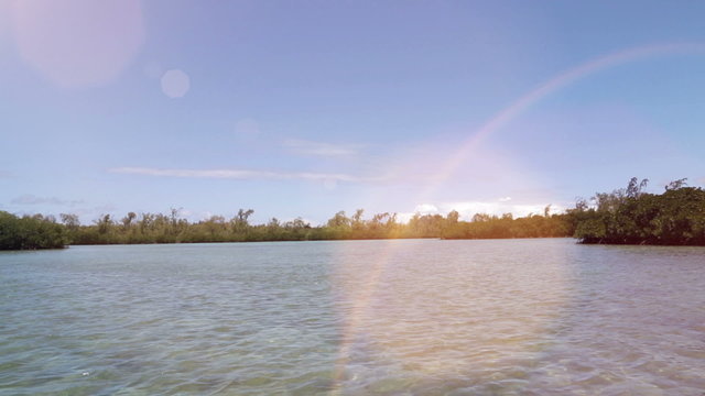 landscape near Ile aux Cerfs, Mauritius with its unique mangroves and cristall clear water