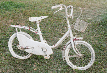 Fototapeta na wymiar a small old white bicycles with green background