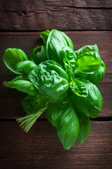 Basil