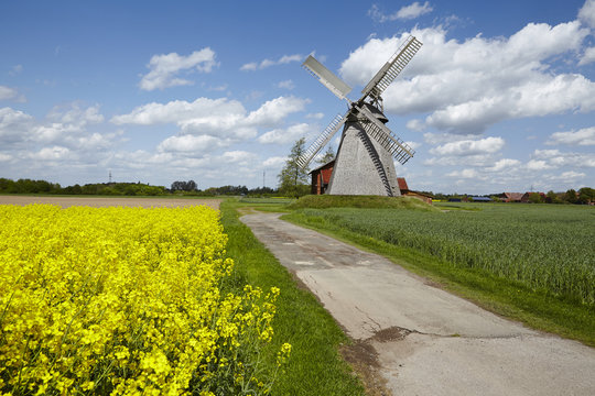 Windm&uuml;hle Bierde (Petershagen) mit Rapsfeld