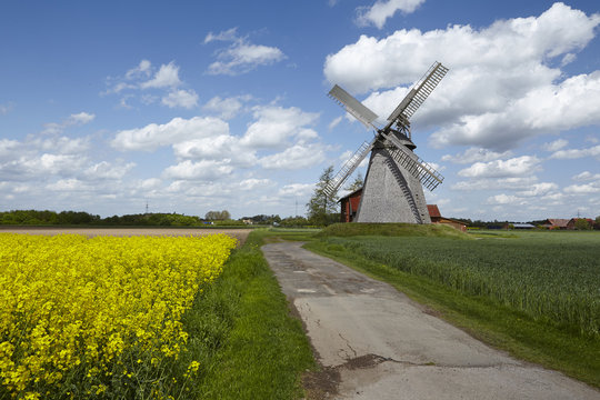 Windm&uuml;hle Bierde (Petershagen) mit Rapsfeld