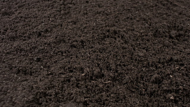 Black soil motion background