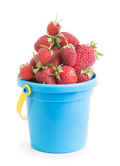 bucket with strawberries