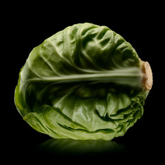 Cabbage