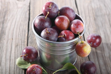 Fresh plums in bucket