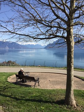 Monsieur sur un banc