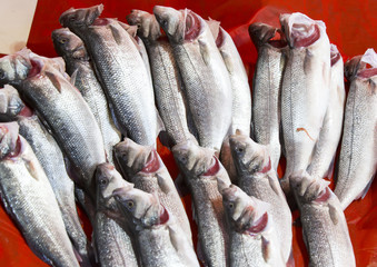 Obraz premium background of fresh sea fish 